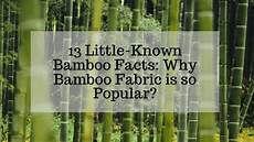 Bamboo Bathrobes